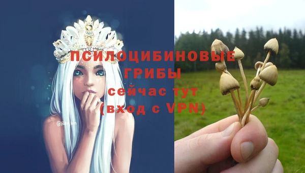 шишки Михайлов