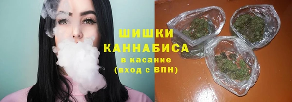 шишки Михайлов