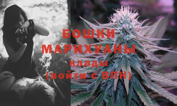 шишки Михайлов
