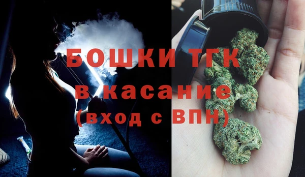 шишки Михайлов